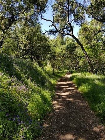 Carmel Valley Hiking Excursions