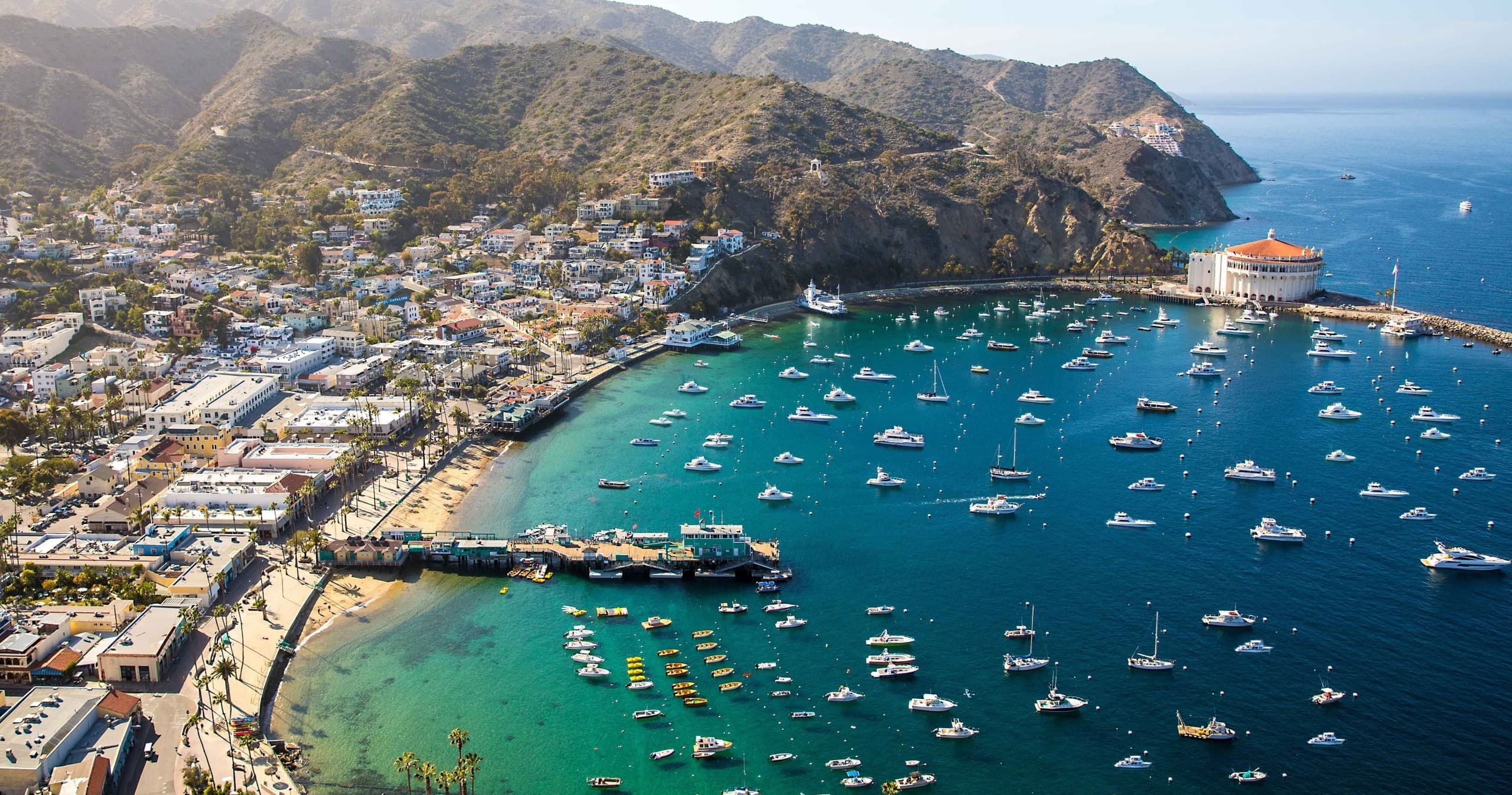 Discover Avalon