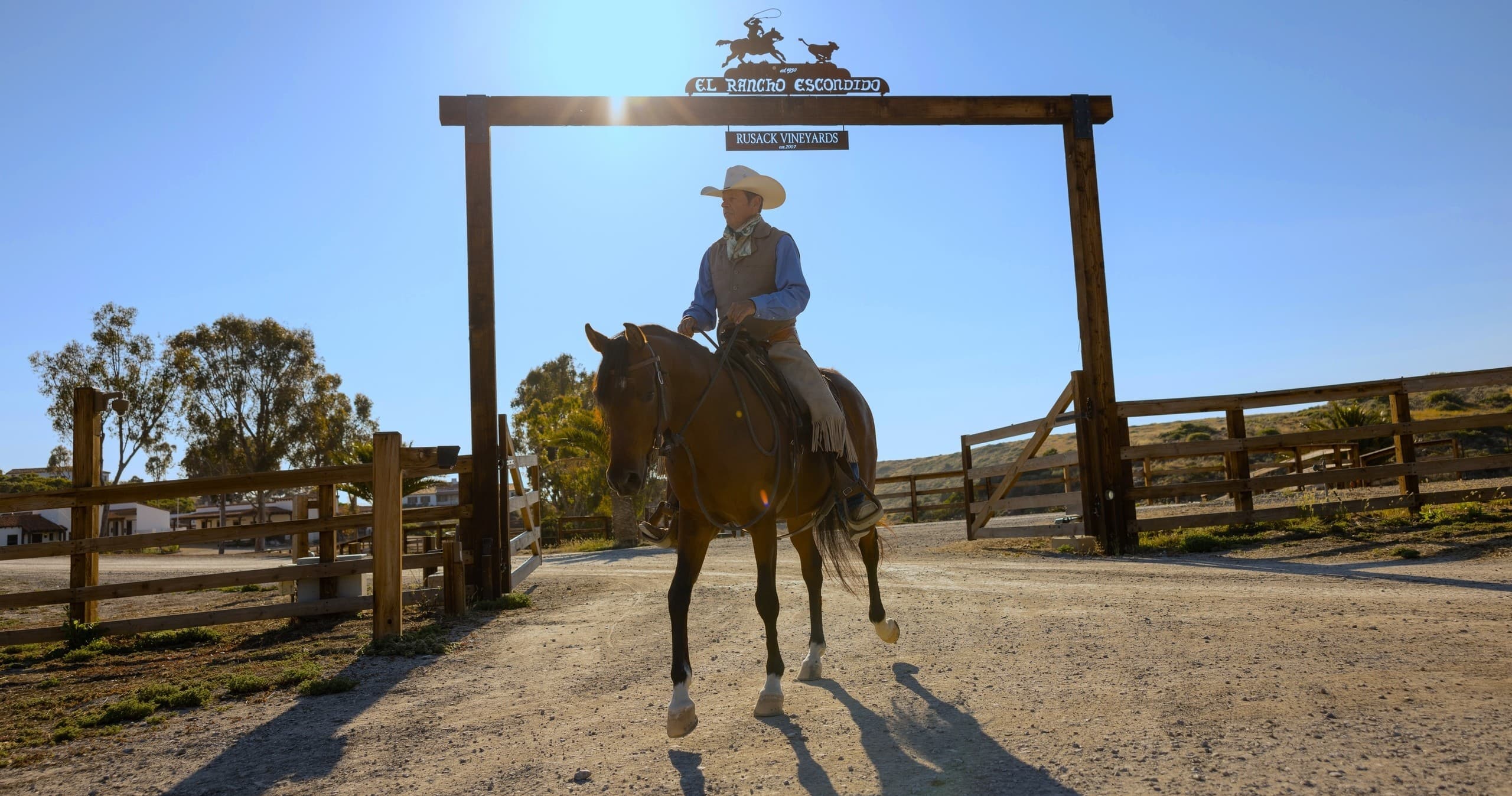 Western Horse Showcase