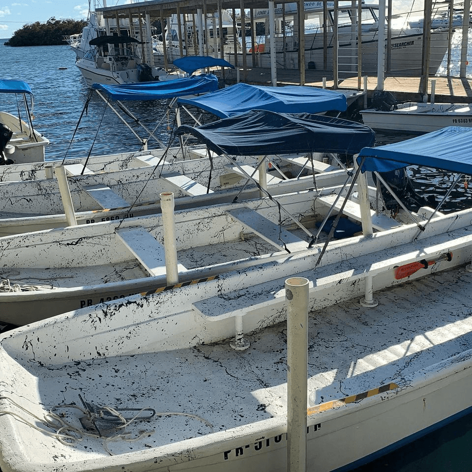 Boat Rental for 8