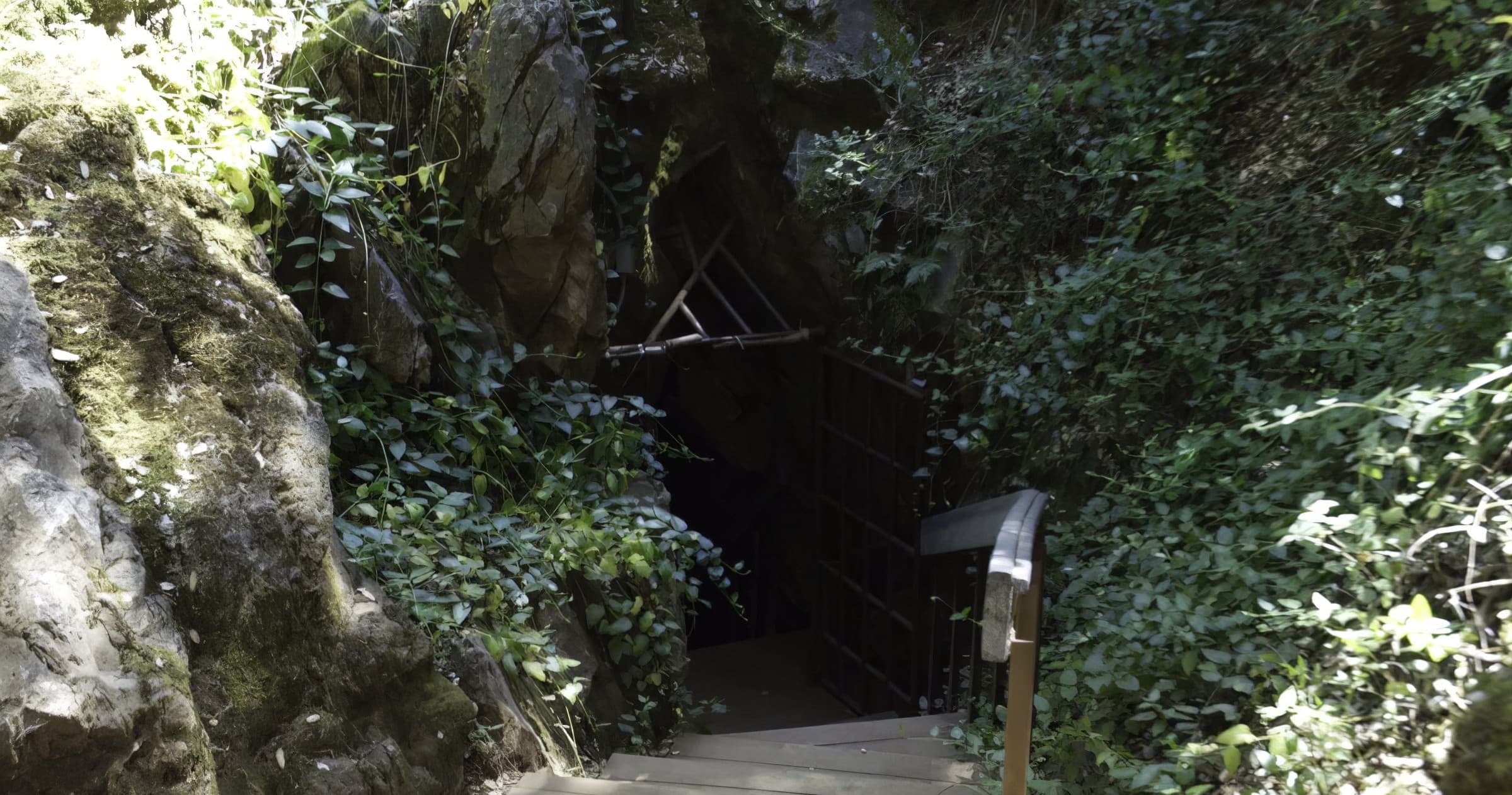 Black Chasm Cavern Walking Tour