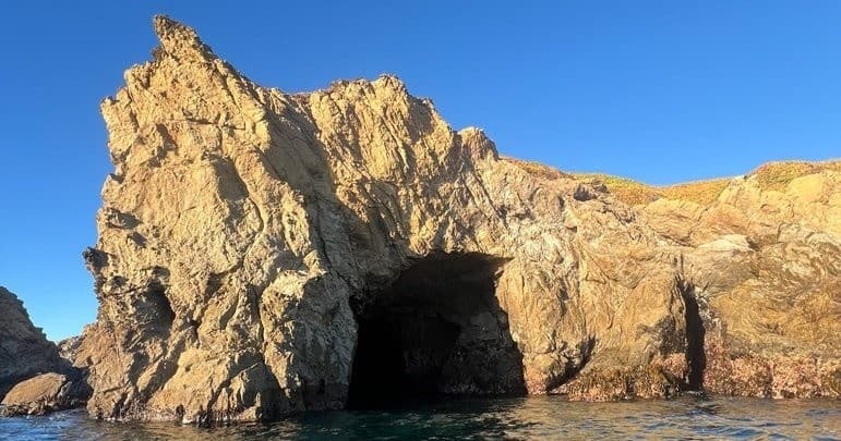 Noyo Sea Cave Nature Tour