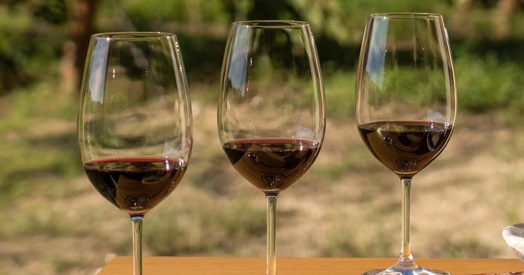 Viseu Standard Wine Tasting