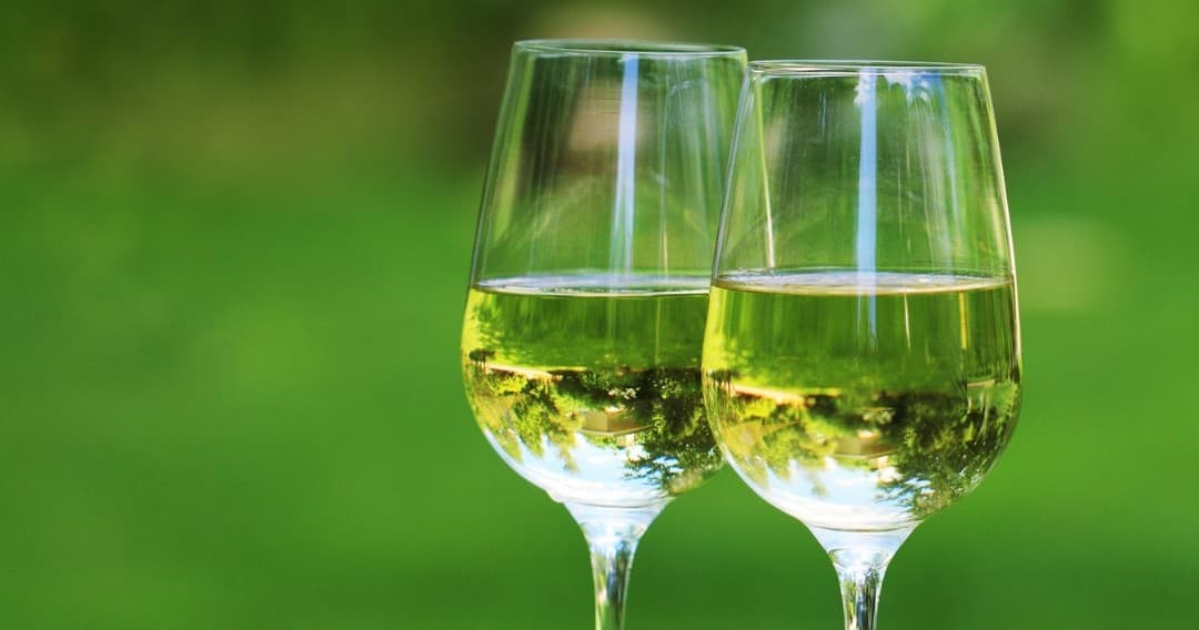 Vinho Verde Workshop