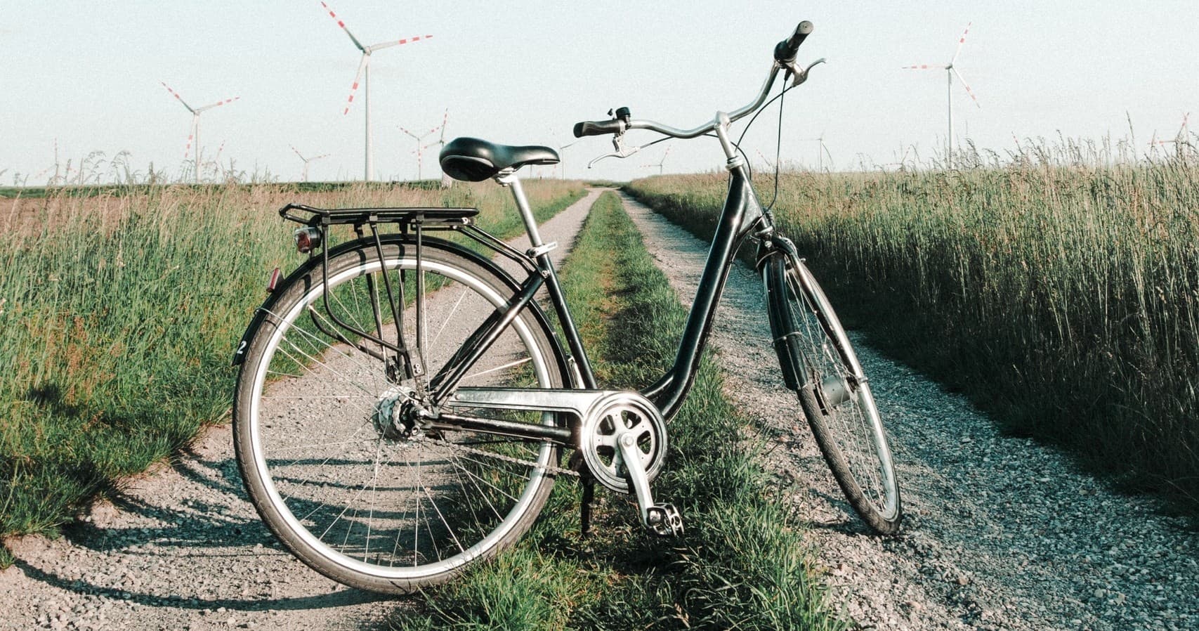 Beach Cruiser Rentals