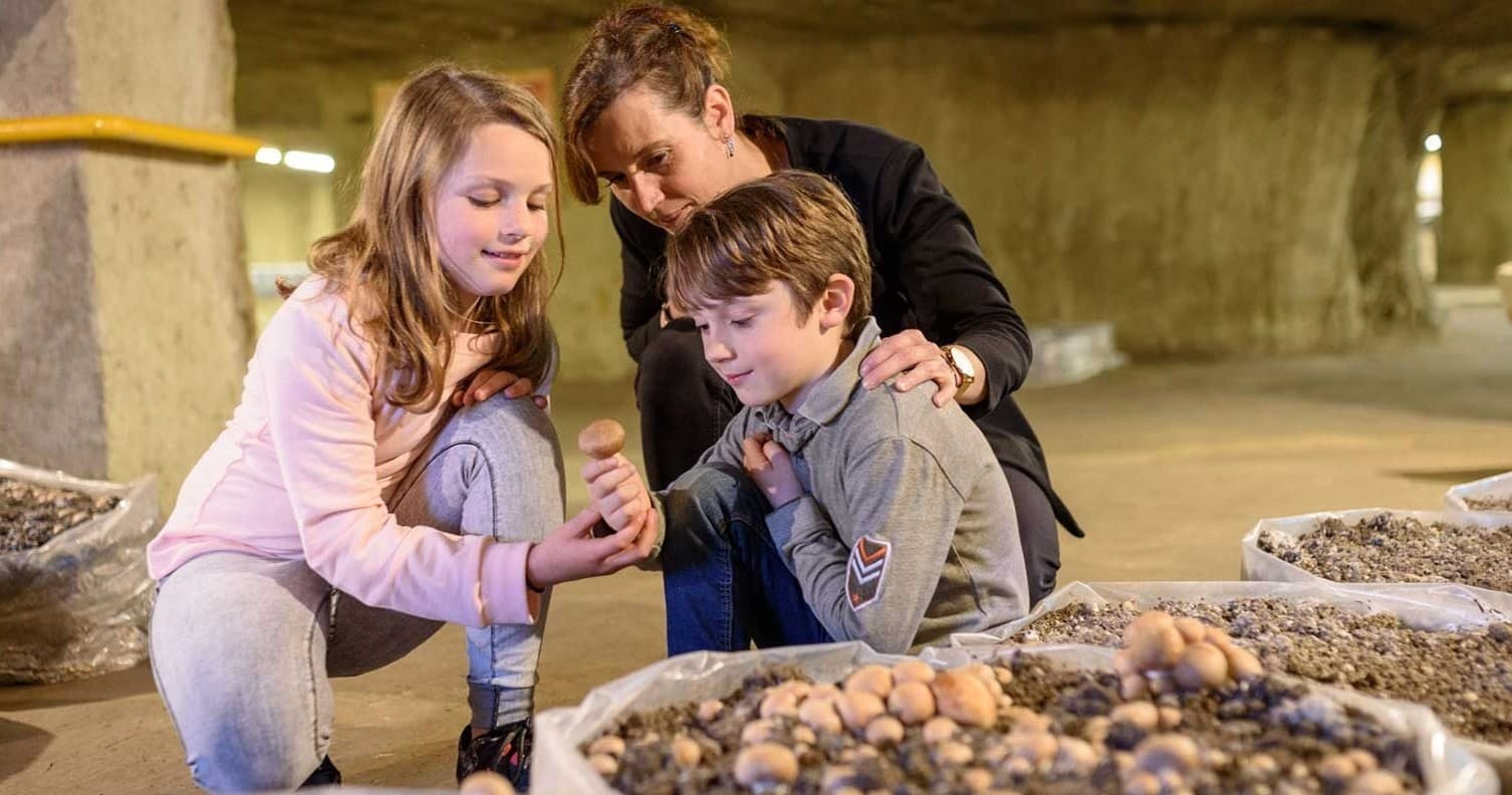 SOLO Musée du Champignon