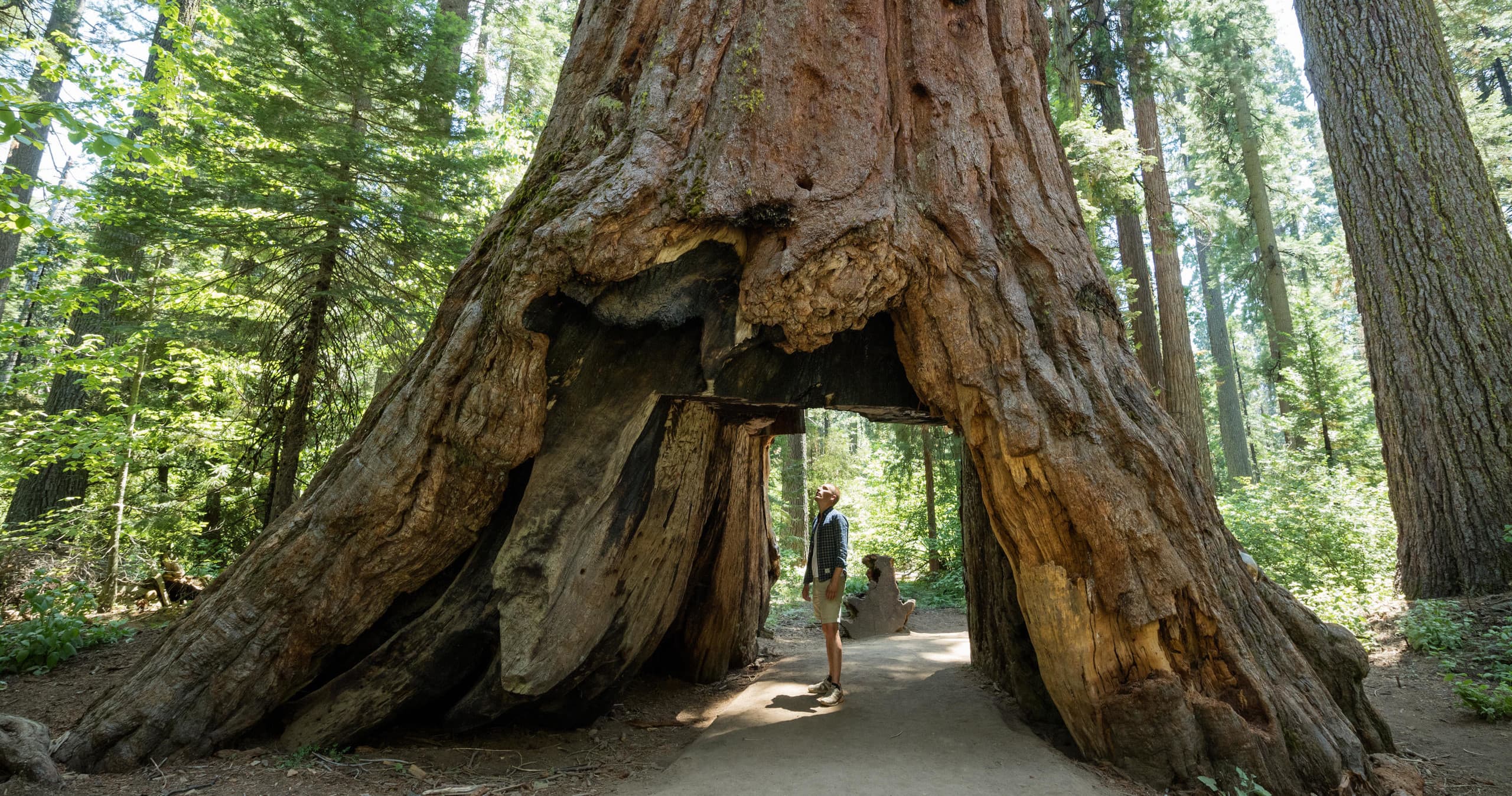 Yosemite 3 Day Tour - No Accommodation included