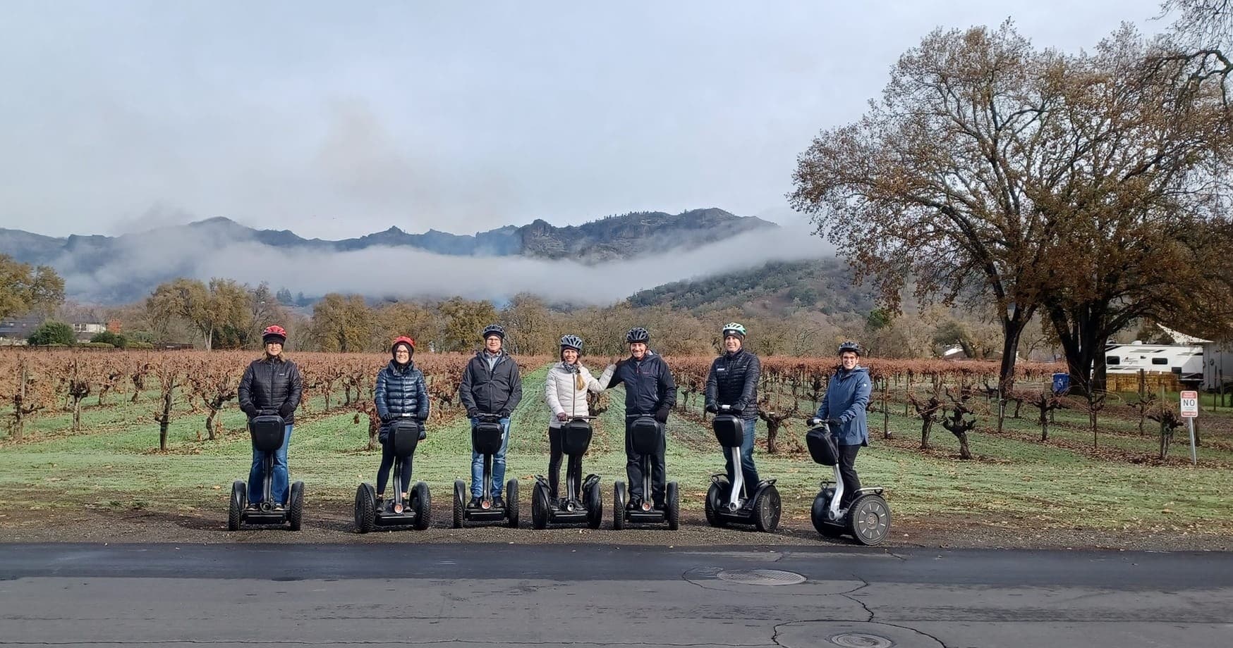 Calistoga Grape, Guns and Geysers Tour