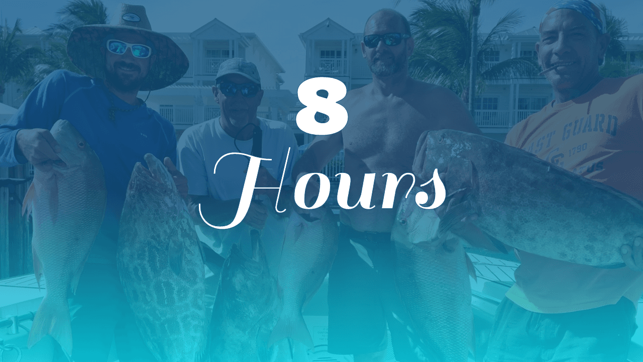 8 Hour Private Charter