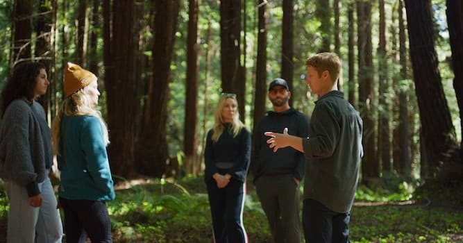 Redwoods Forest Bathing