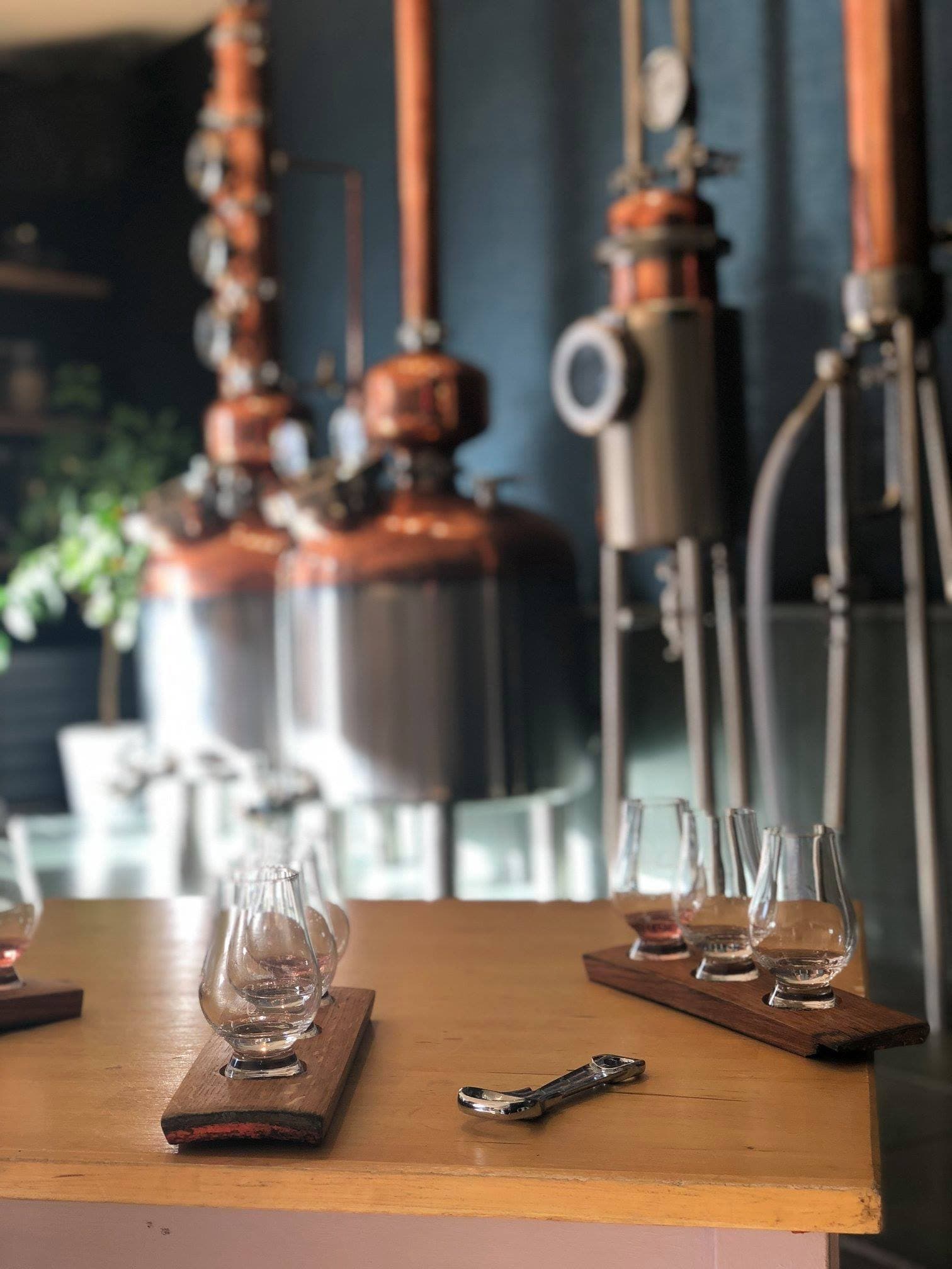 Self Guided South Loch Distillery Tasting