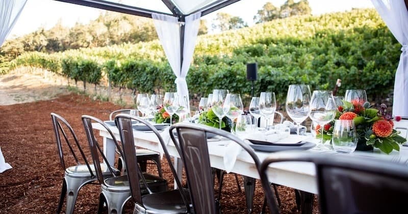 We Drive Your Car - Napa Sonoma Wine Tours (Small Group)