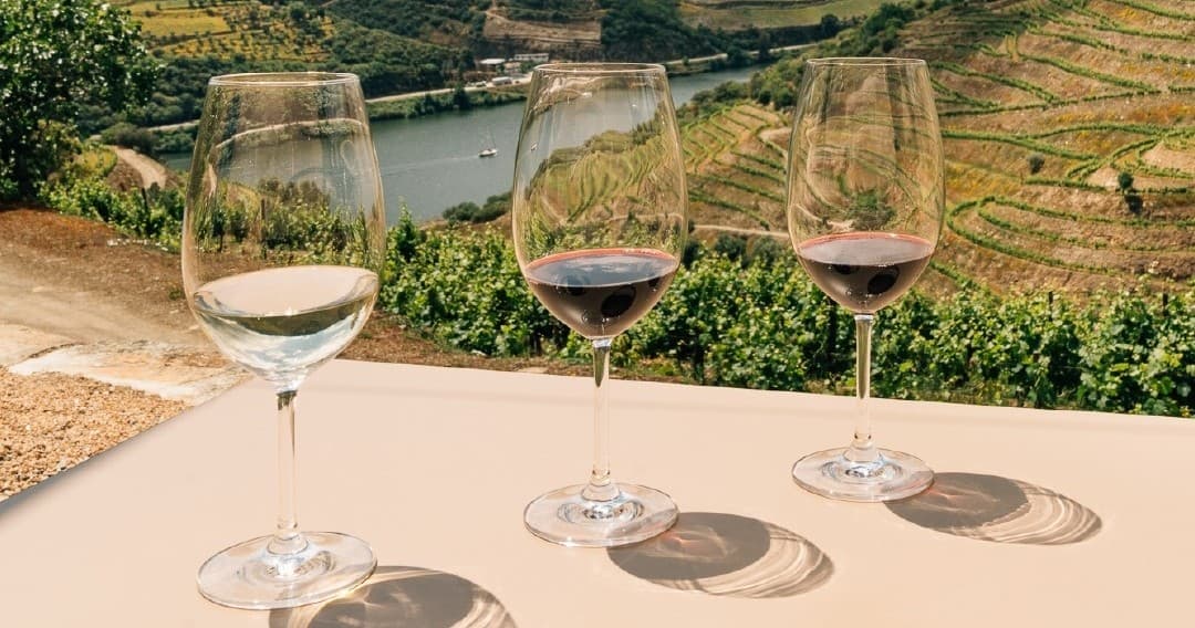 Douro Classic Wine Tour & Tasting