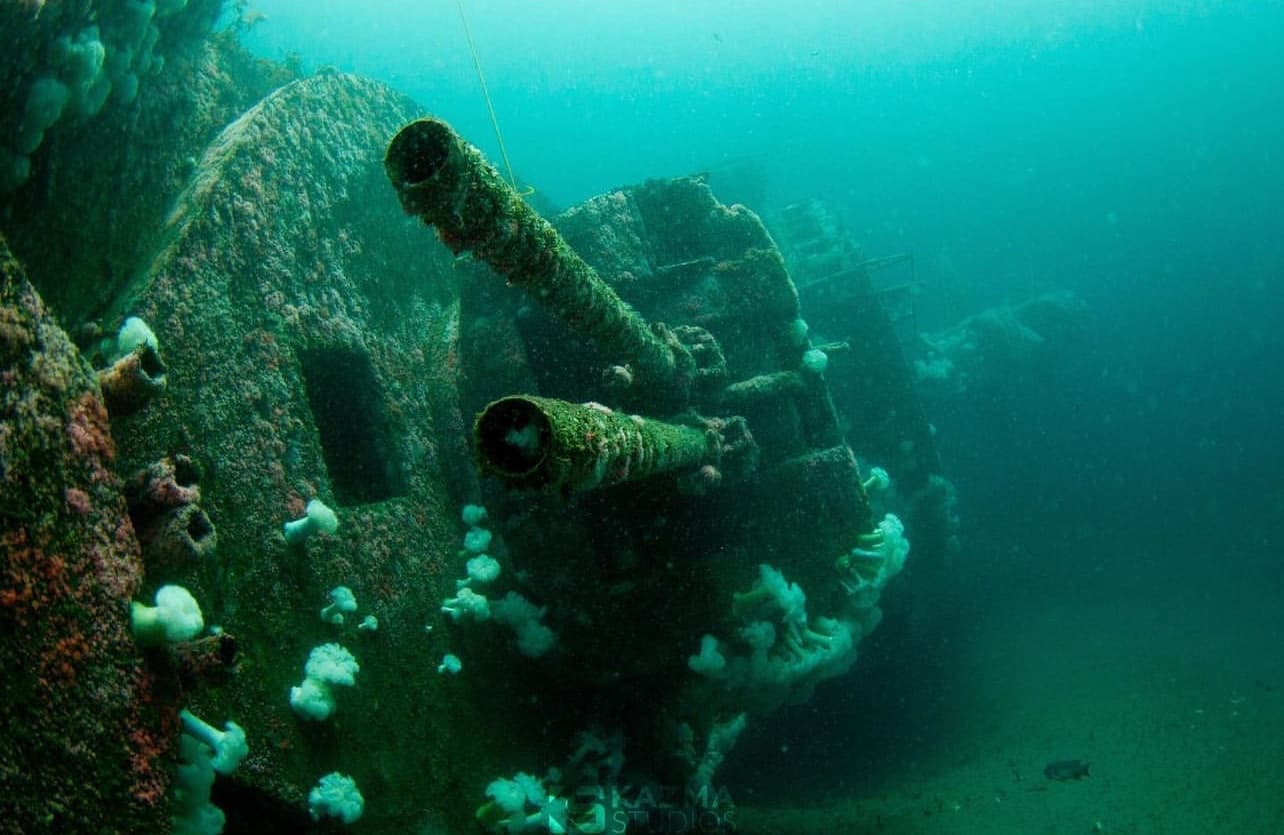 Wreck Alley SCUBA Boat Diving Experience