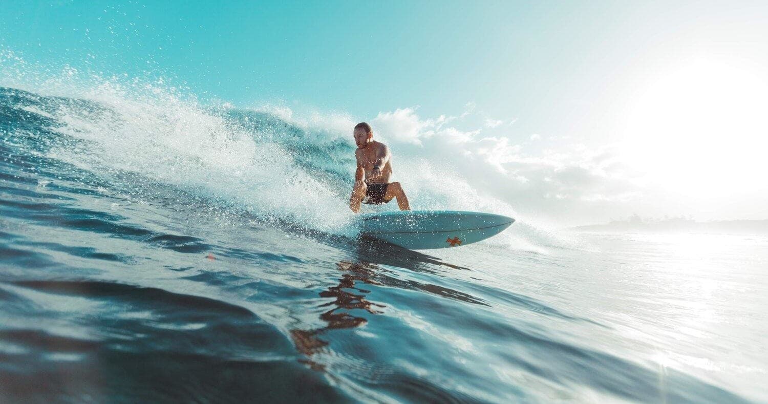 Surf Surfari