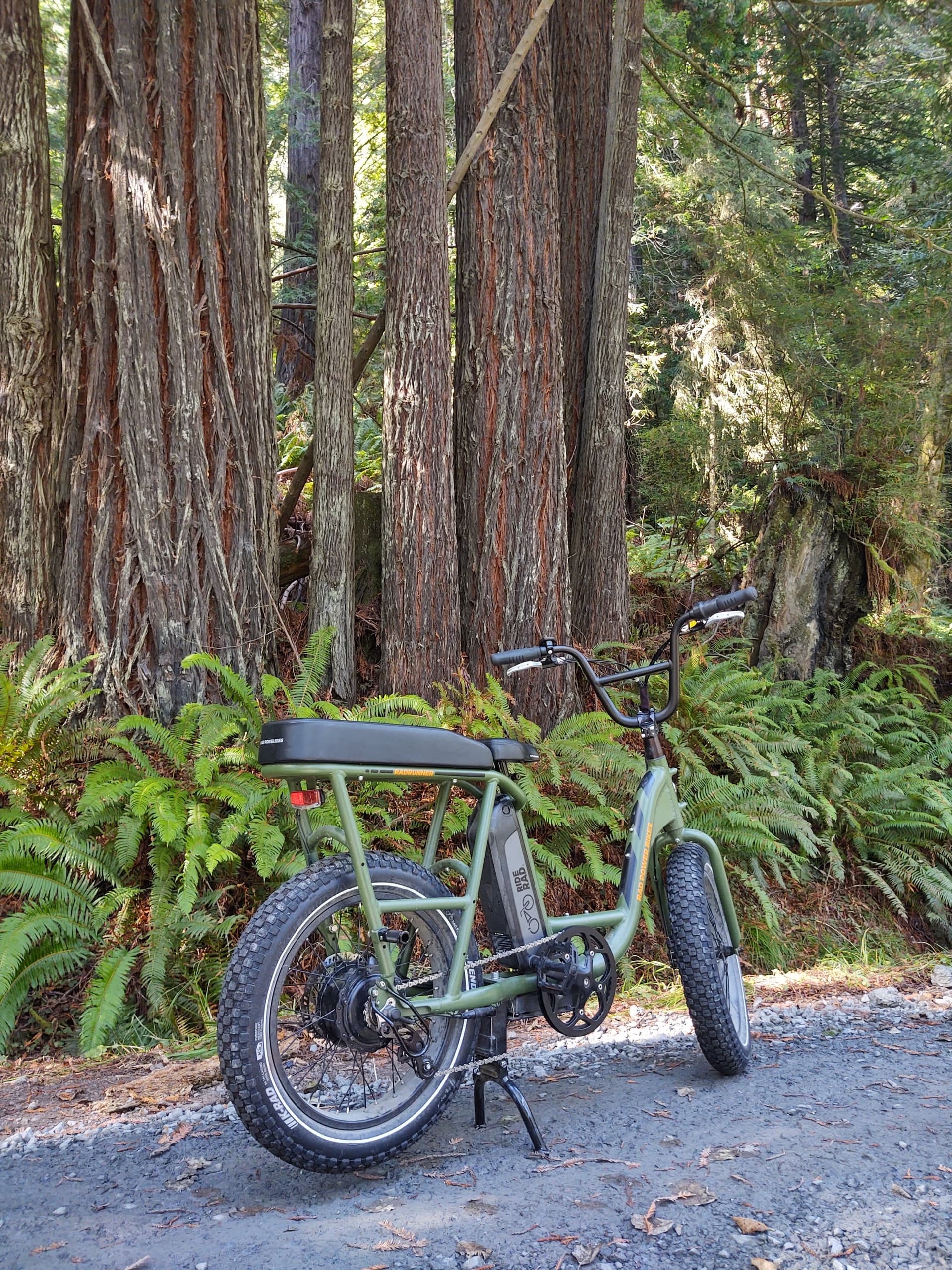 E-Bike Tours