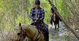 Private 60-Minute River Trail Ride