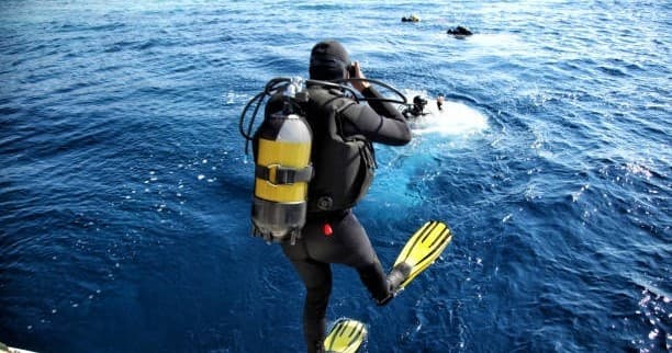 10 Dives