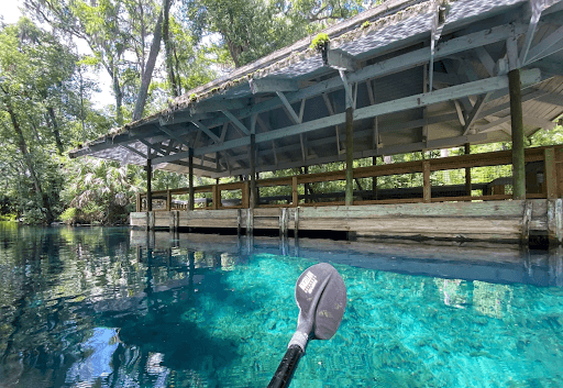Private Silver Springs Tour