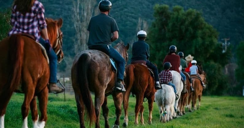 90 Minute Trail Ride