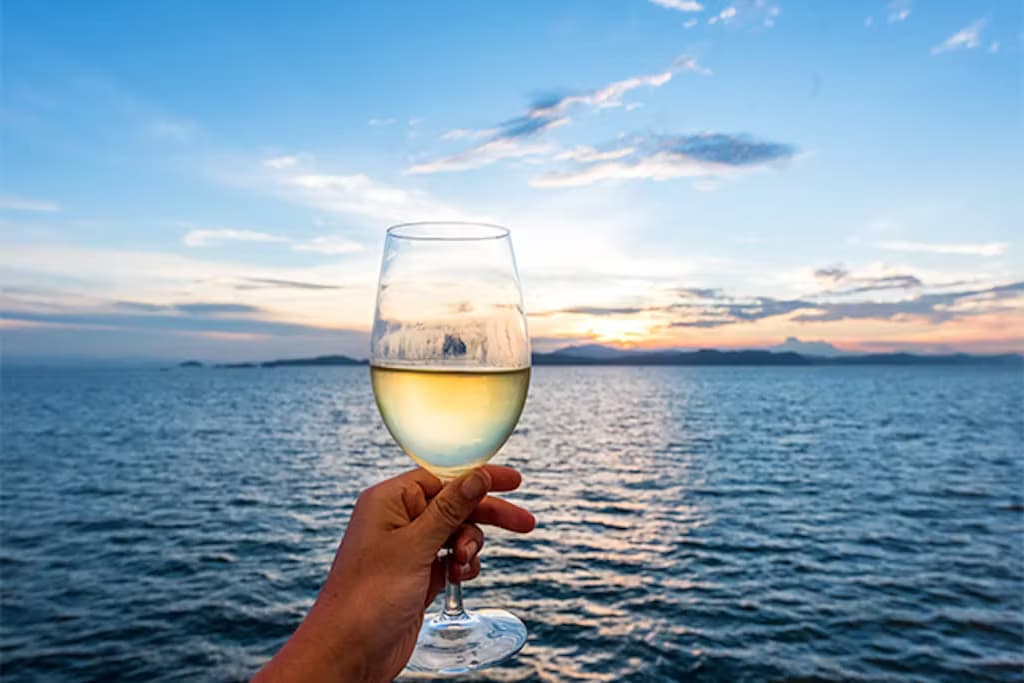 Wine and Charcuterie Cruise