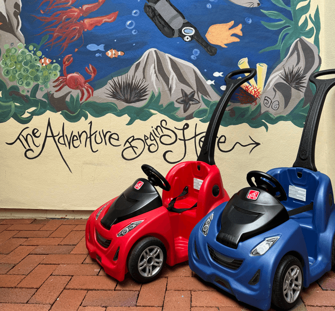 Seaside Toddler Buggy Rentals