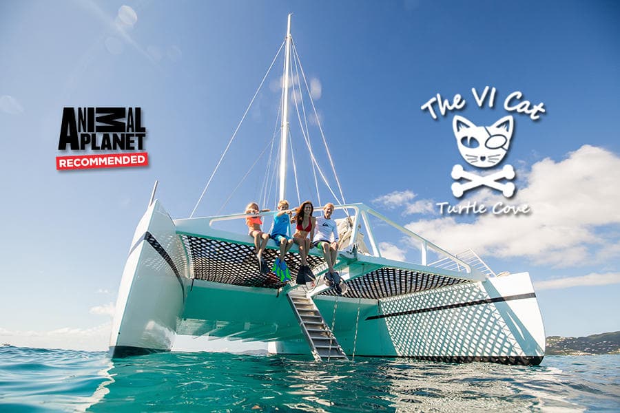 Turtle Cove Catamaran Snorkel & Sail Adventure to Little Buck Island