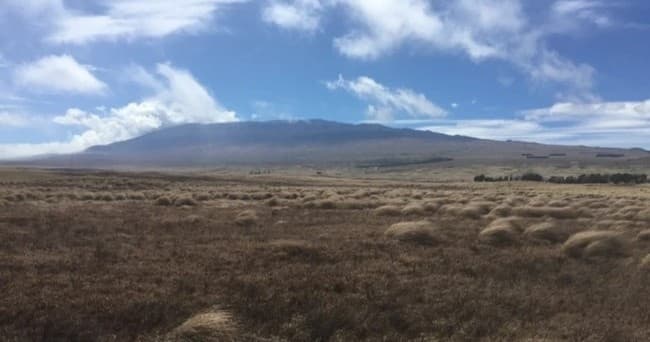 PRIVATE Big Island Big Volcano Adventure from Hilo