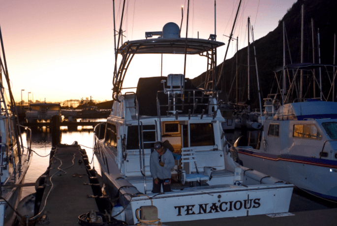Hau‘oli Charter - 6 Hour Shared