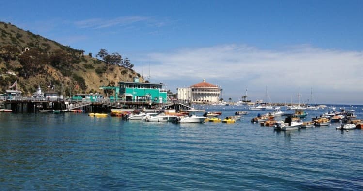 Discover Avalon