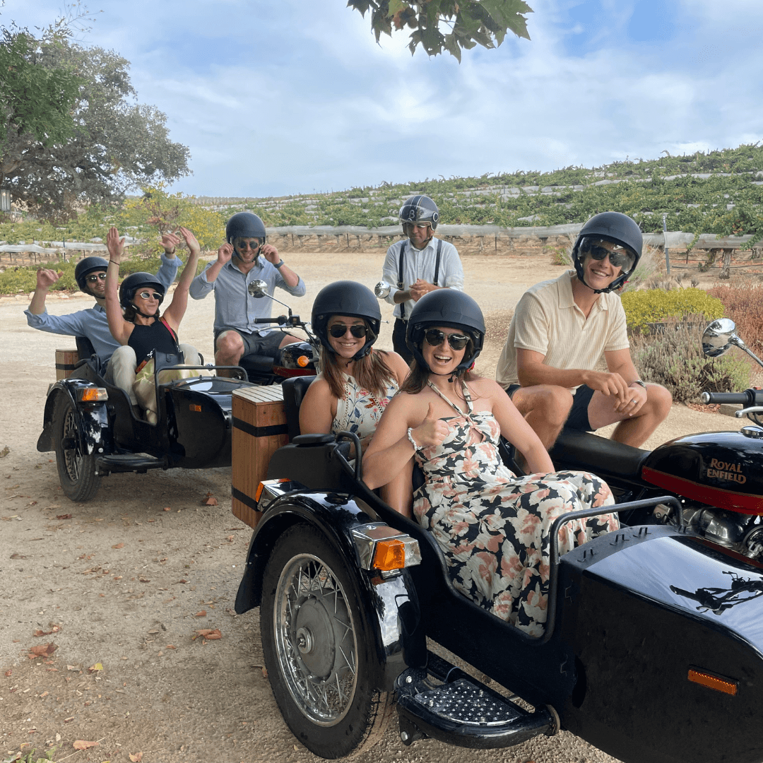 Scenic Sidecar Vineyard Tour San Luis Obispo