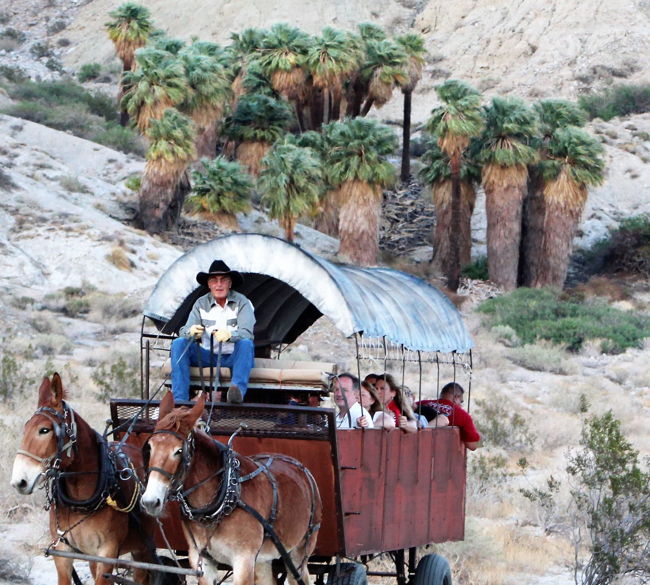 Covered Wagon Adventure - Tour Only