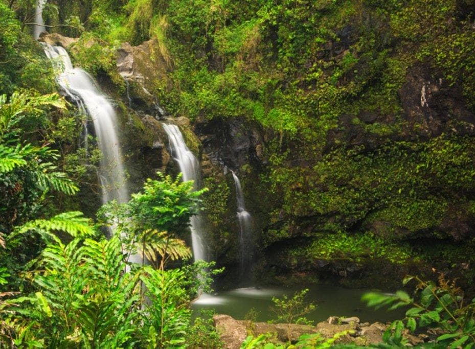 Road to Hana, Black Sand Beach, Waterfalls & Turtles Tour from Maui, Hawaii