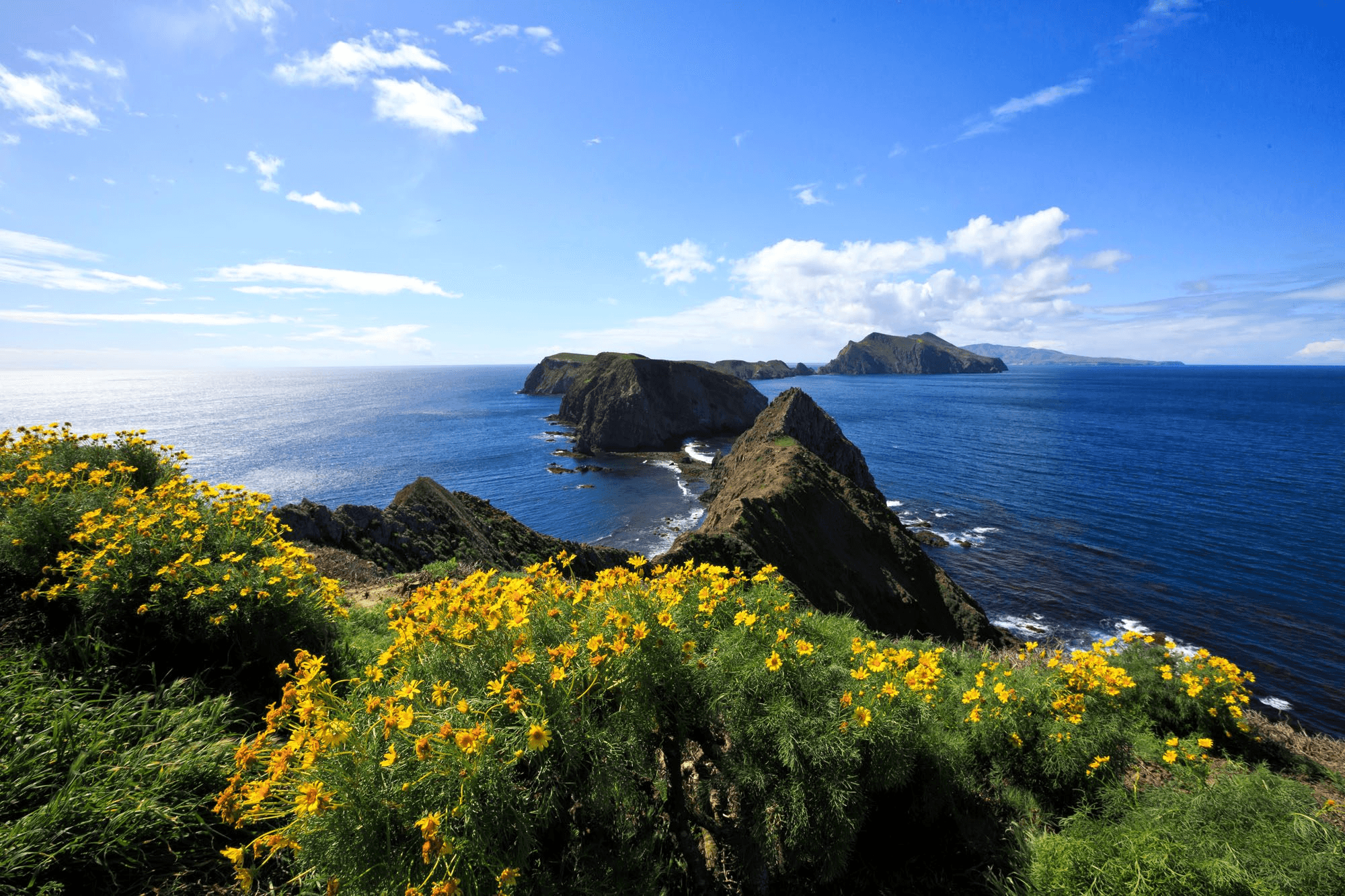 Full Day Private Charter - Anacapa & Santa Cruz Islands