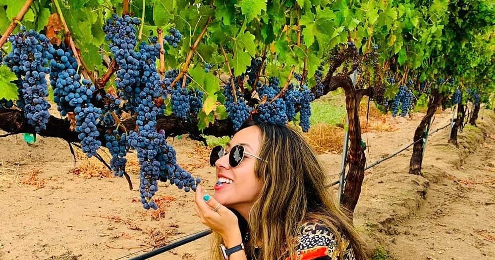 Private Wine Tour of Temecula Valley