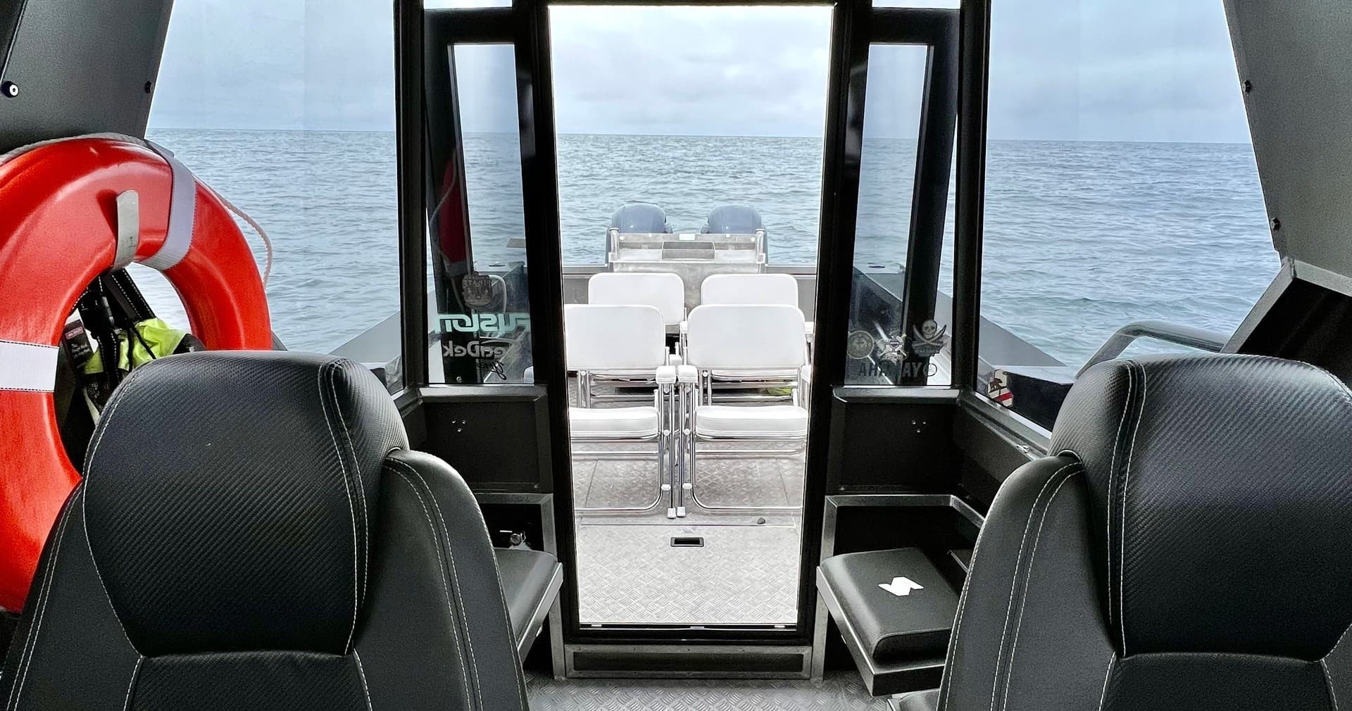 Private Whale Watching Expedition