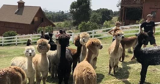 Group Farm Tour