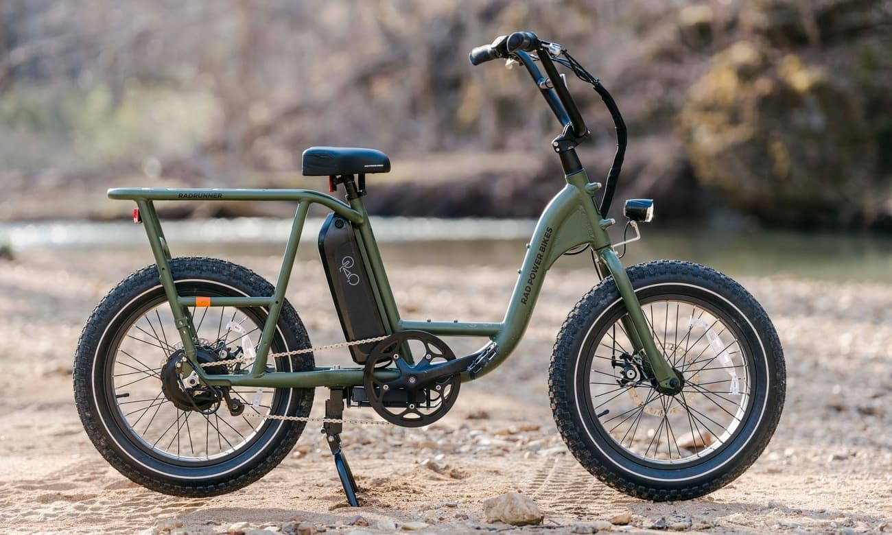 RadRunner eBike