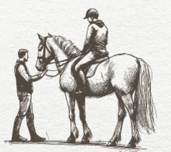 Arena Horseback Riding Lessons