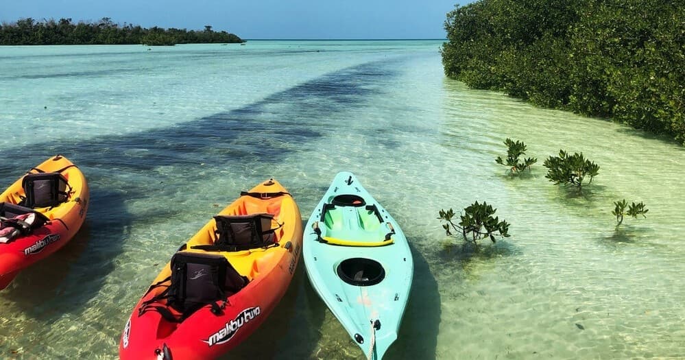 Half Day Kayak Rentals