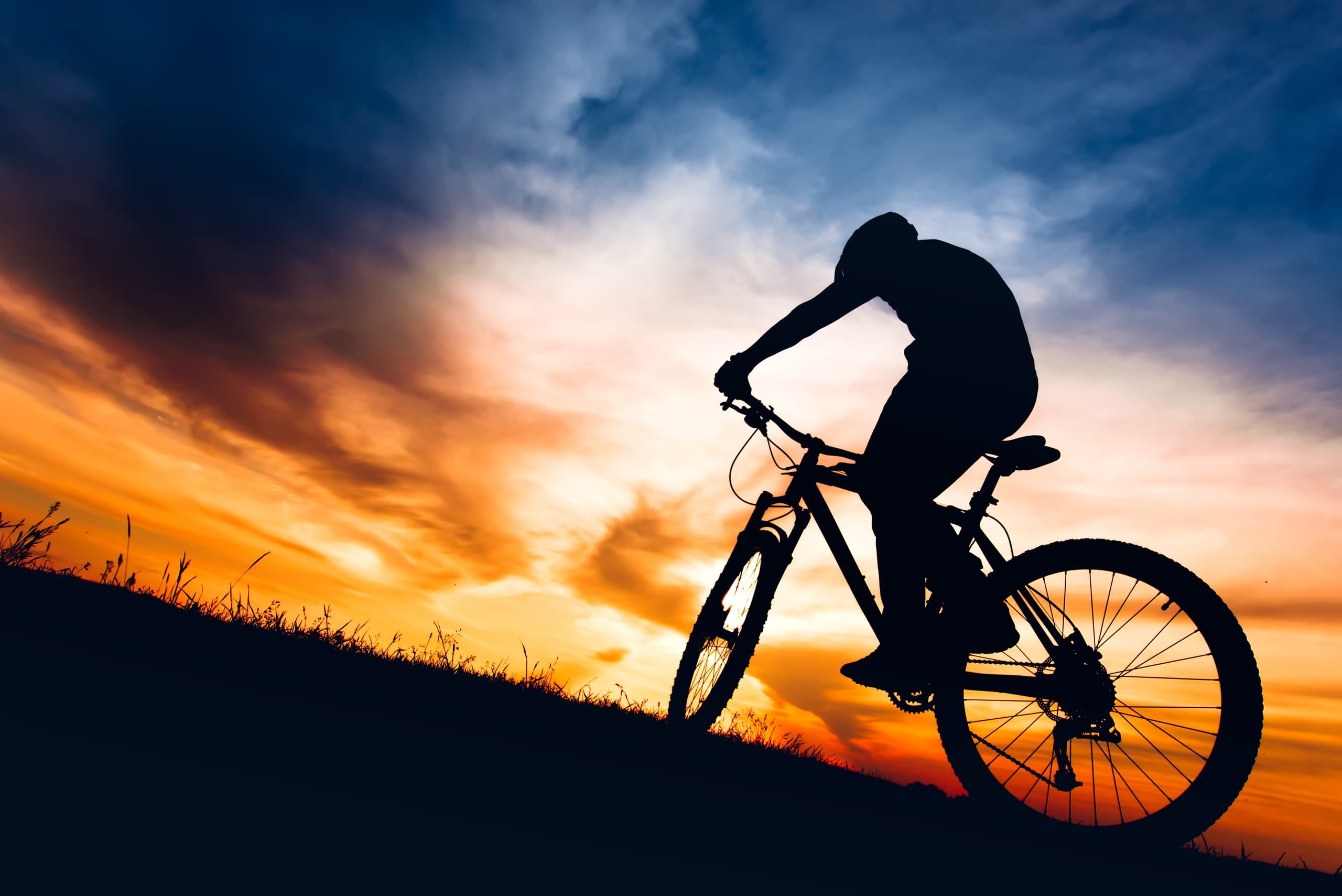 Performance Mt Bike - Full Day Rentals