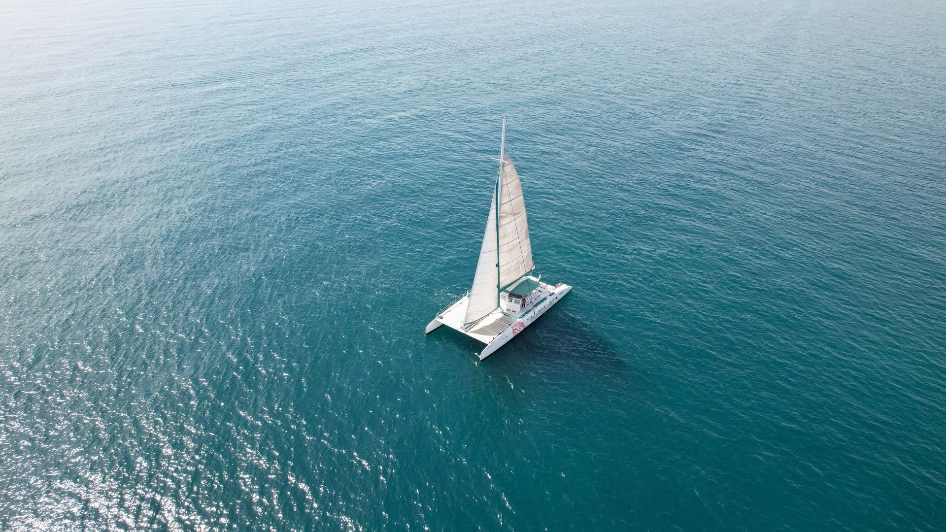 Tour por la bahía - Valencia