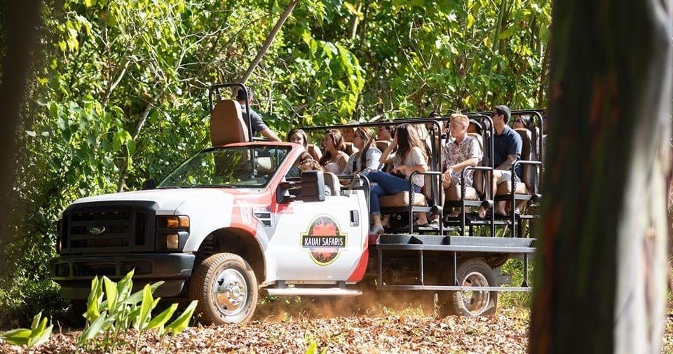 Rum Safari