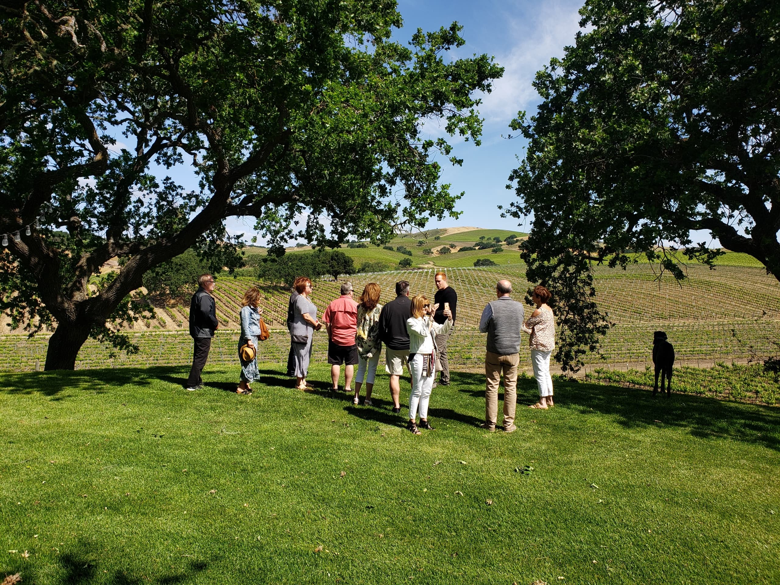 Santa Ynez Private Wine Tour