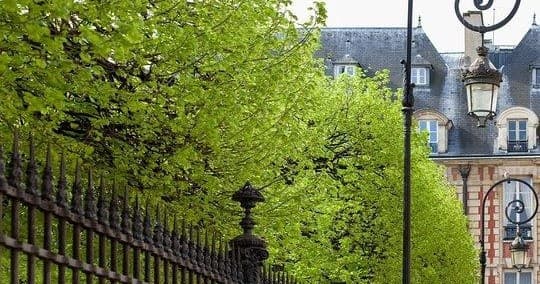 Marais Private Tour