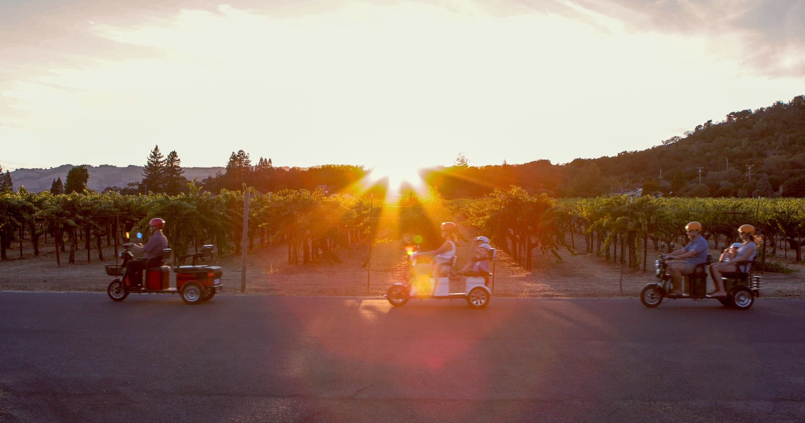 Sonoma by Sunset - Guided Electric Trike Tour - 3 hours
