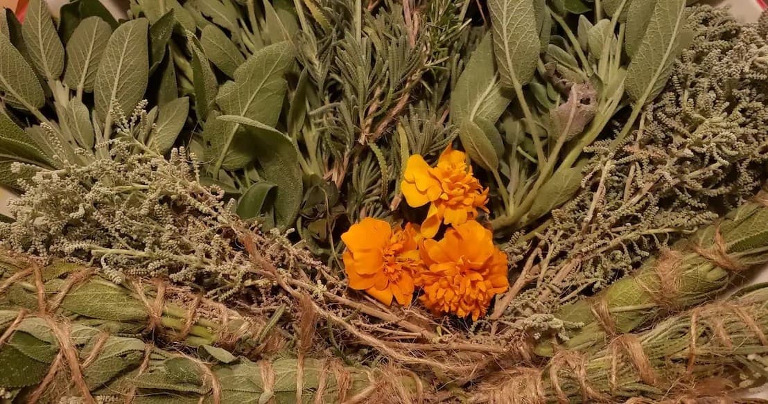 Herbalism Farm Experience