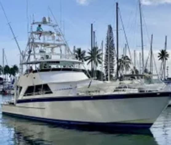 Four Hour Public Whale Watch Cruise