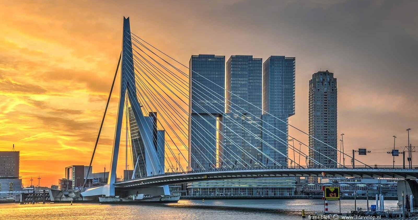 Delft, The Hague and Rotterdam Tour • 8 Hours