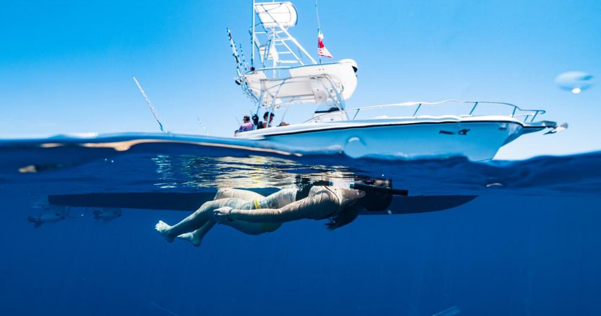 Day Cruises